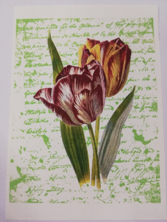 Nažehlovací obrázek na textil - Tulipány - 18 x 14 cm