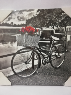 Obraz na desce 30 x 30 cm - Červené růže na kole