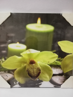 Obraz na desce 30 x 30 cm - Kameny s orchidejí 1