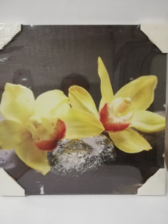 Obraz na desce 30 x 30 cm - Kameny s orchidejí 2