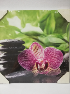 Obraz na desce 30 x 30 cm - Kameny s orchidejí 3