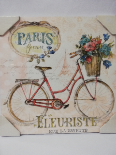 Obraz na desce 30 x 30 cm - Kolo Paris 2