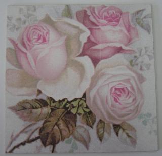 Obrázek č.102 - 16 x 16 - Sagen růže