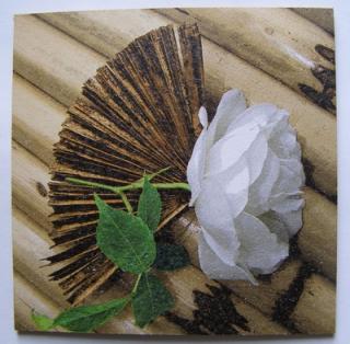 Obrázek č.143 - 16 x 16 - Bílá růže