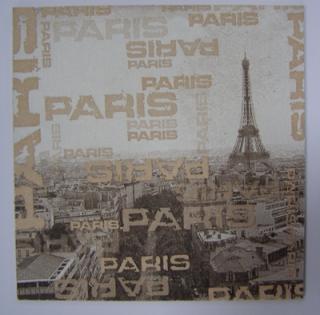 Obrázek č.179 - 16 x 16 - Paris hnědá