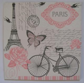 Obrázek č.197 - 16 x 16 - Paris růžová a kolo