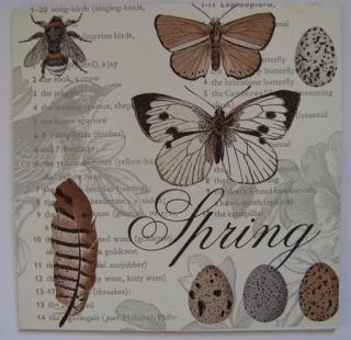 Obrázek č.200 - 16 x 16 - Motýli
