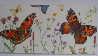 Obrázek č.208 - 32 x 16 - Motýli červené