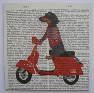 Obrázek č.237 - 16 x 16 - Pes na motorce a noviny
