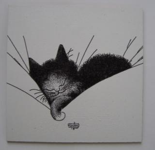 Obrázek č.38 - 16 x 16 - Kočka spí