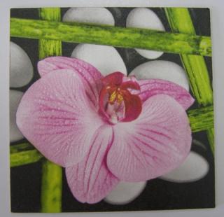 Obrázek č.72 - 16 x 16 - Orchidej a bambus