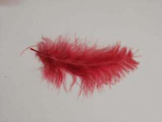 Pštrosí peří 6-11 cm, balíček 10 ks - bordo (Skladem)