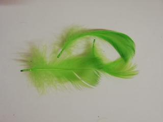 Pštrosí peří 6-11 cm, balíček 20 ks - světle zelená (Skladem)
