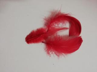 Pštrosí peří 6-11 cm, balíček 20 ks - tmavě červená (Skladem)