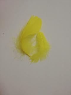 Pštrosí peří 6-11 cm, balíček 20 ks - žlutá (Skladem)