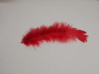 Pštrosí peří 9-16 cm, balíček 10 ks - červená (Skladem)