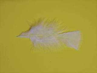 Pštrosí peří 9-16 cm, balíček 20 ks - bílá (Skladem)