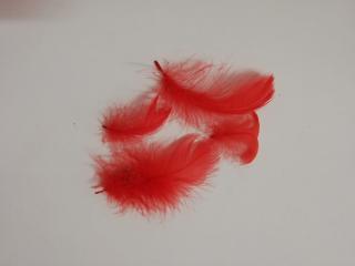 Pštrosí peří 9-16 cm, balíček 20 ks - světle červená (Skladem)