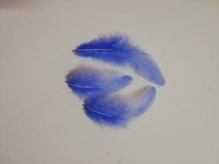 Pštrosí peří 9-16 cm, balíček 20 ks - světle modrá (Skladem)