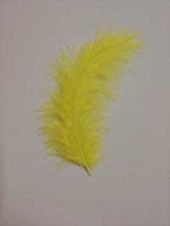 Pštrosí peří 9-16 cm, balíček 20 ks - žlutá (Skladem)