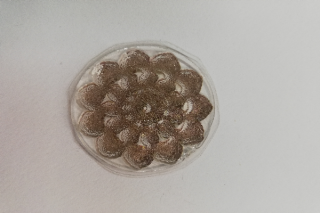Razítko silikonové - mandala 2 - 3,5 cm