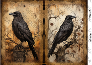 Rýžový papír A4 pro tvoření - Fantasy, tajemno, havran - KB1285