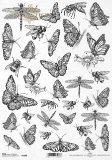 Rýžový papír A4 pro tvoření - Motýli, vážky, mouchy černobíle - R1886