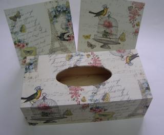 Sada - dřevěná krabička a 2 x obrázek - Ptačí klec a Paříž