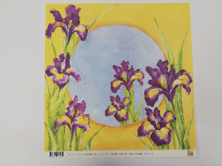 Scrapbooking papír 30x30 cm - Iris