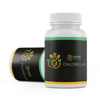 Chlorella 200 tablet 500 mg