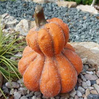 Dýně "Ruth" - 28 cm  (Zašleme prostřednictvím PPL)
