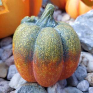 Dýně  zeleno-oranžová -12 cm