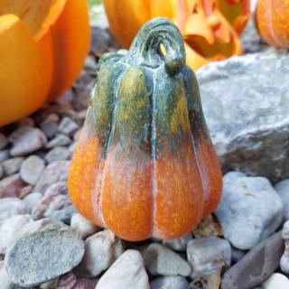 Dýně  zeleno-oranžová -12 cm