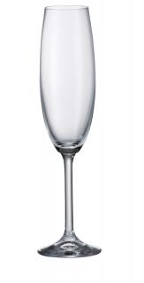 Sklenice na sekt Degustation - flétna 220 ml  (Sklenice na šampaňské)