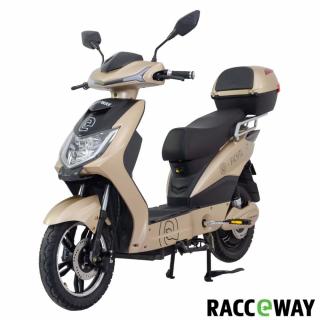 Elektroskútr RACCEWAY® E-FICHTL®, sv.zlatý-matný s baterií 12Ah (motor 250W, rychlost 25km/h, dojezd 40km, šlapací pedály, led osvětlení, olověná vyjímatelná baterie, dálkové ovládání s alarmem, kufr, nosič, nosnost 120kg)