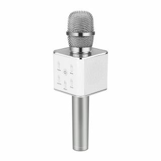 Karaoke mikrofon Eljet Performance stříbrný (buďte hvězdou)