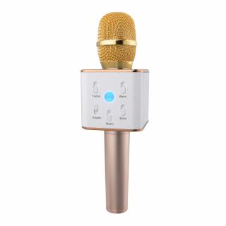 Karaoke mikrofon Eljet Performance zlatý (buďte hvězdou)