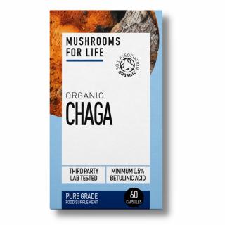 Mushrooms For Life | Bio Čaga (Rezavec šikmý) kapsle - 60 ks