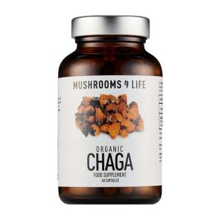 MUSHROOMS4Life | Rezavec šikmý kapsle - Siberian Chaga - 60 ks