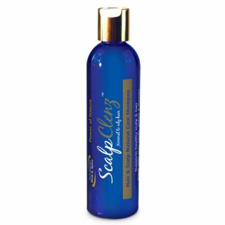 North American Herb a Spice | Šampon pro normální a mastné vlasy - 240 ml