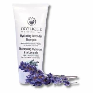 Odylique | Hydratační šampon - Lavender - 20 ml, 200 ml, 500 ml Obsah: 20 ml