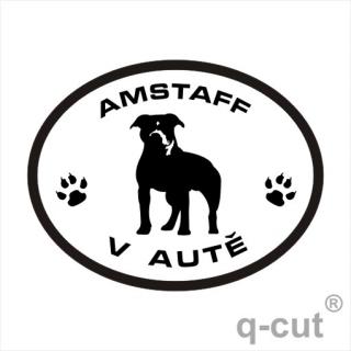 Amstaff v autě (samolepka americký staford)