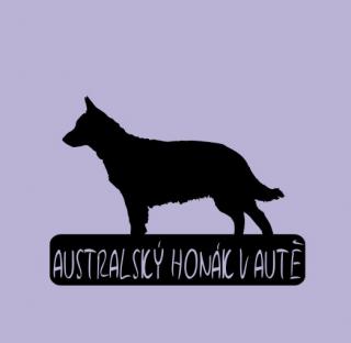 Australský honák v autě - možno jméno ZDARMA (samolepka australský honácký pes)