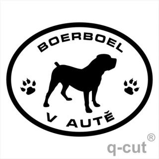 Boerboel v autě (samolepka búrský buldok)