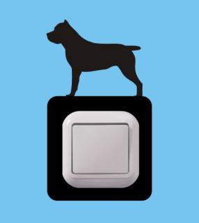 Cane Corso