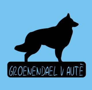 Groenendael v autě - možno jméno ZDARMA (samolepka belgický ovčák)