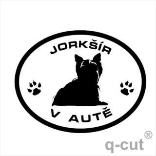 Jorkšír v autě (samolepka Yorkshire Terrier)