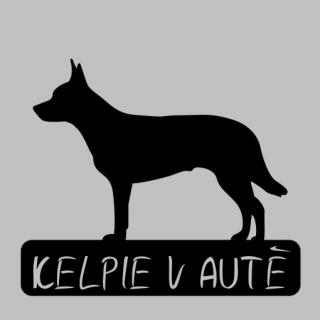 Kelpie v autě - možno jméno ZDARMA (samolepka australská kelpie)