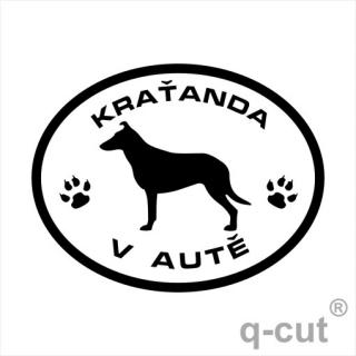 Kraťanda v autě (samolepka krátkosrstá kolie)