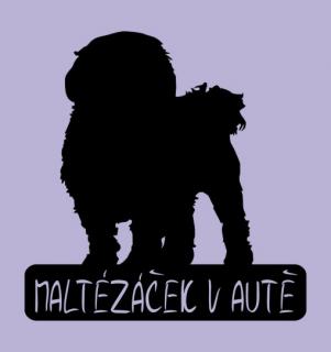 Maltézáček v autě - možno jméno ZDARMA (samolepka maltézský psík)